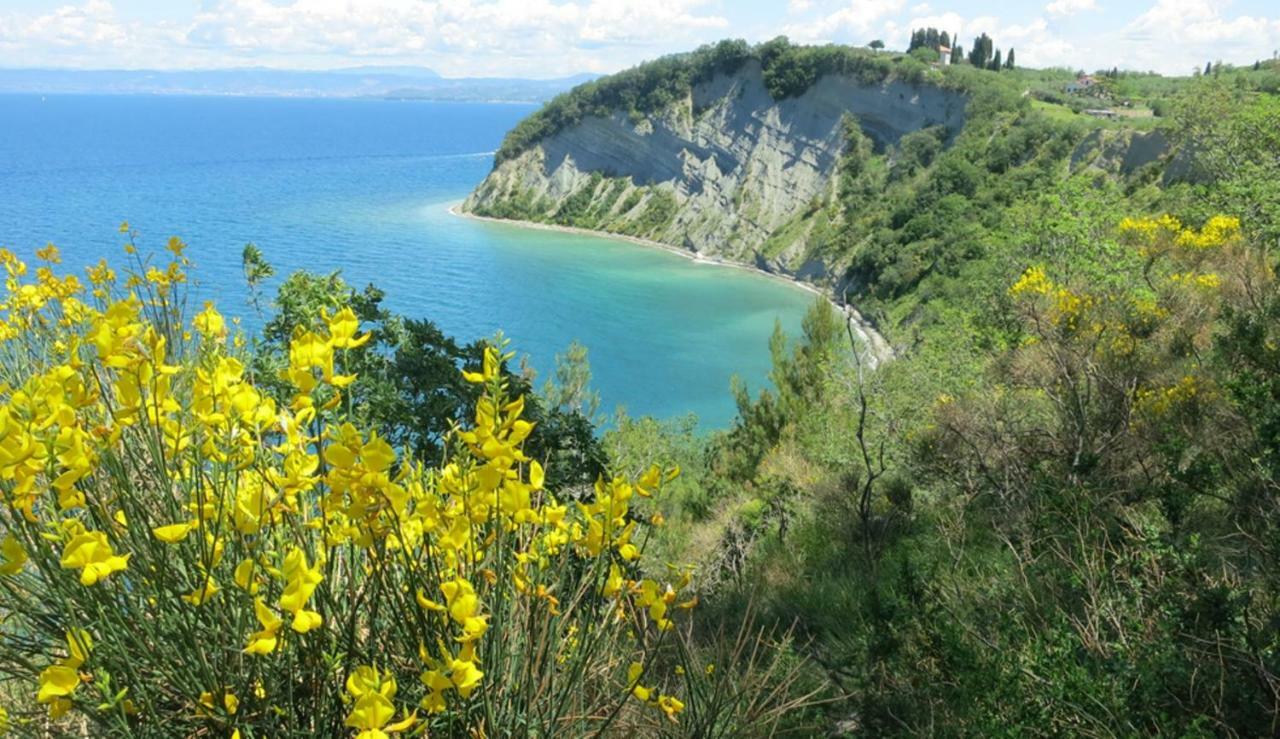 Apartment in Villa, near Piran Strunjan Esterno foto